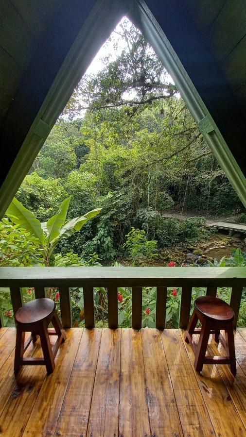 Hotel Cerveceria James Xilitla Bagian luar foto